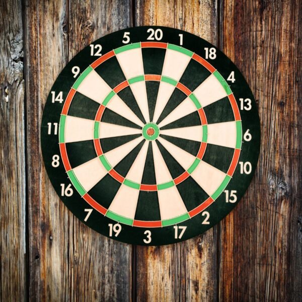 Darron Sports Professional Dartboard